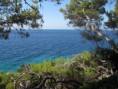/album/kepgaleria-galeria/img-7824-jpg/